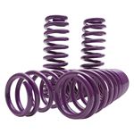 D2 Racing SP Lowering Springs (D-SP-TO-16-2)