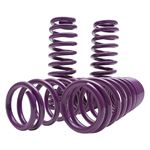 D2 Racing PRO Lowering Springs for 2011-2014 Hyund